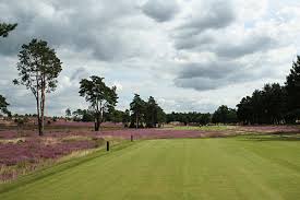 Image result for Hankley Common Golf Club