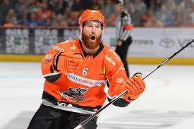 Image result for Sheffield Steelers