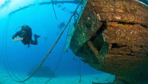 Image result for Canary Divers