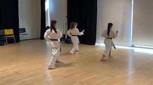 Image result for Kenshukai Karate