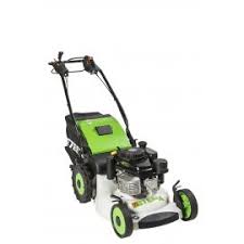 Image result for etesia tehron