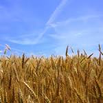 AGRl NDIA' - A new concept by Department of Agricultural Research ... 
