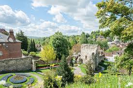 Image result for Guildford Sc