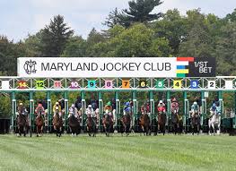 Image result for The Horse Racing Club