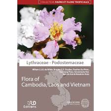 Attēlu rezultāti vaicājumam “Lythraceae”