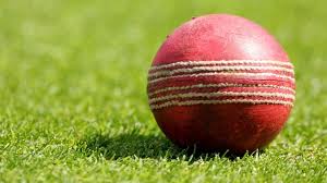 Image result for North Down Cricket Club
