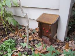 Image result for ladybug house