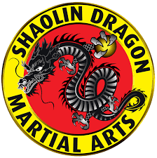 Image result for Dragon Wushu Club