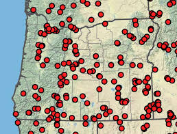 Attēlu rezultāti vaicājumam “Stemonitopsis aequalis (var. aequalis)”