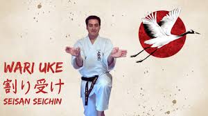 Image result for Uechi-Ryu Karate Do, Hedge End