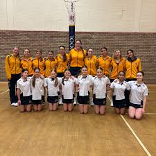 Image result for Ipswich Ladies Netball Club