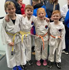 Image result for Excalibur Martial Arts