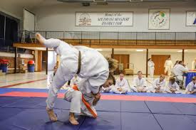 Image result for choi sul hapkido academy hapkido scotland