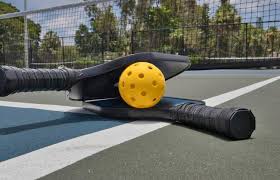 Image result for The Pickleballers UK