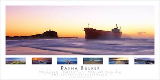 Image result for Pasha bulker