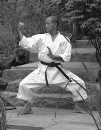 Image result for Junsui Shotokan Karate Do