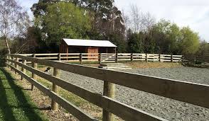 Image result for Carman Stables