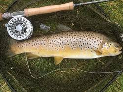 Image result for Segdoune Flyfishers` Angling Club