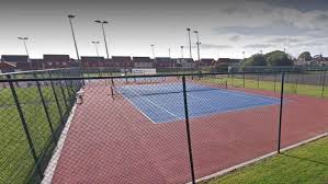 Image result for Llanelli Athletic Club