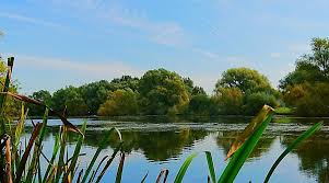 Image result for Emberton Park Sailing Club