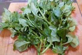 Image result for Neuseeländer Salat