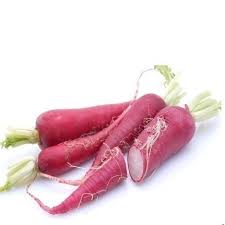 Image result for Rettich