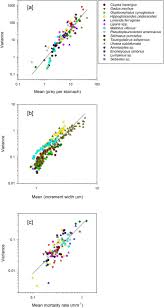 Image result for Myzopsetta ferruginea