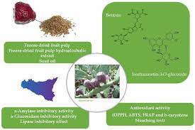 Attēlu rezultāti vaicājumam “Nardus stricta fruit”
