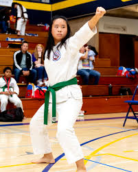 Image result for moray coast tang soo do