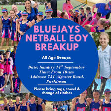Image result for Blue Jays Netball Club