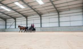 Image result for Beechwood Riding School