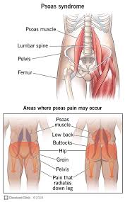 Image result for inthe.es