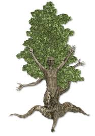 Image result for treant