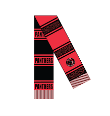 Image result for Eltham Panthers