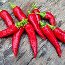 Afbeeldingsresultaat voor long red marconi sweet pepper