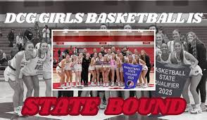 Image result for Elmbridge Girls Basketball Club