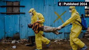 Image result for                2014