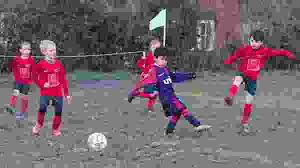 Image result for Chiddingfold Youth Fc