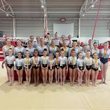 Image result for City Of Newcastle Gymnastics Academy