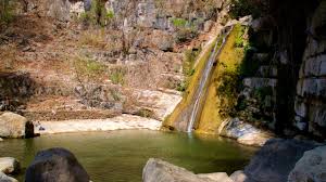 「parque los chor」の画像検索結果