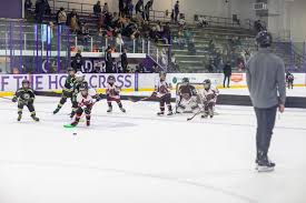 Image result for Demons Skater Hockey Club