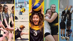 Image result for York University Volleyball Club