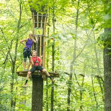 Image result for The Go Ape Experience (Swinley Forest)