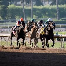 Image result for The Horse Racing Club