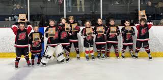 Image result for Demons Skater Hockey Club