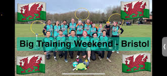 Image result for Wessex Warlocks Quadball