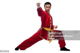 Image result for kung fu