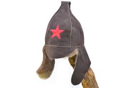 Image result for будёновка