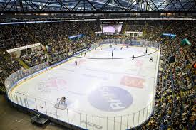 Image result for Nottingham Panthers
