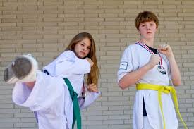 Image result for Taekwondo Witney